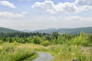 Natuur bij Savita